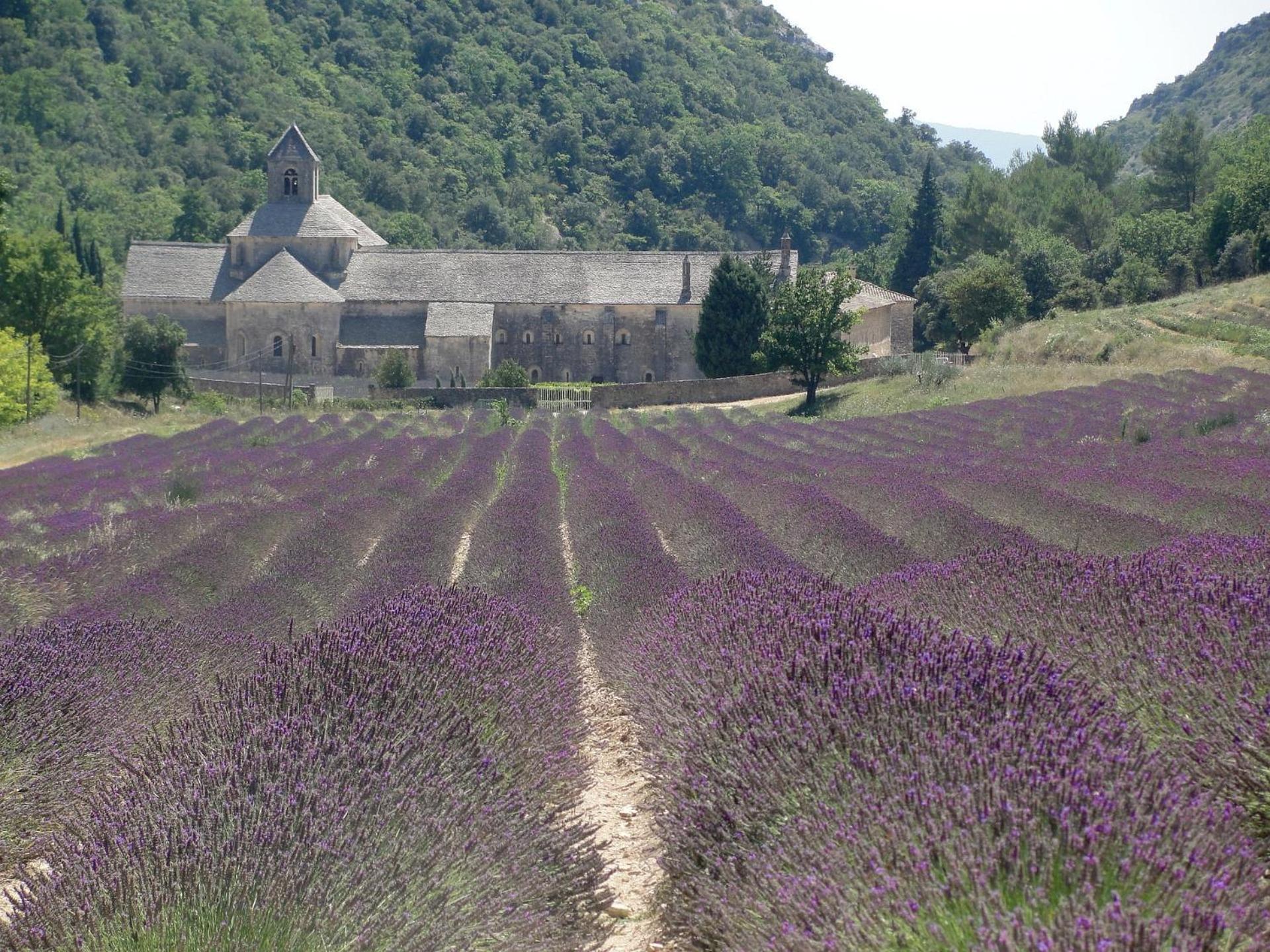 Hébergement de vacances Centre St Remy - Boheme Saint-Rémy-de-Provence